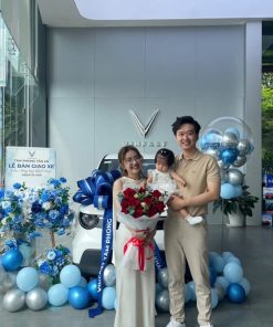 VinFast VF3: Giá lăn bánh, thông tin xe & khuyến mãi tháng 9/2026